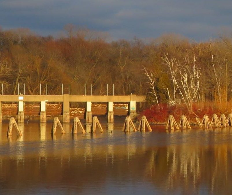 Estabrook Dam Removal Party