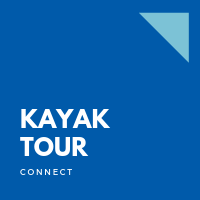 Explore the Milwaukee River: Kayak Tour with Riveredge Nature Center and Silent Wake