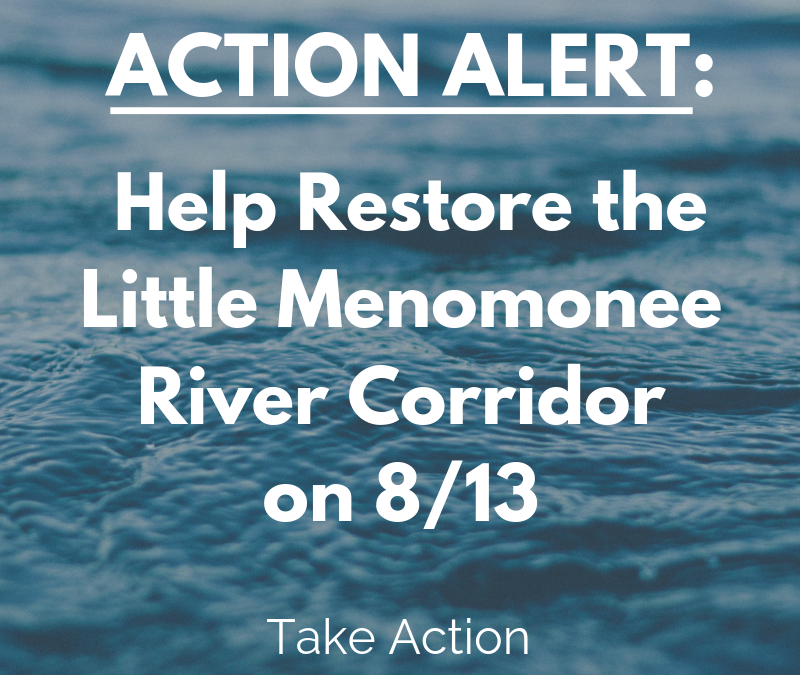 Help Restore the Little Menomonee River Corridor