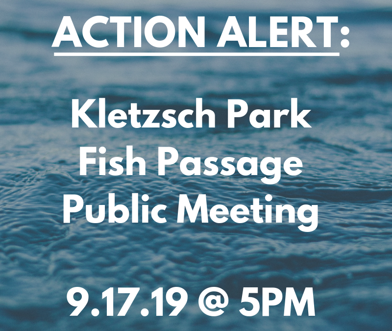 Kletzsch Park Fish Passage– Public Informational Meeting