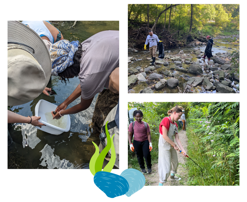Collage of individuals volunteering with Milwaukee Riverkeeper to help support clean waterways