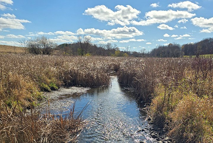 Land Acknowledgement