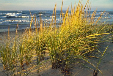 greatLakesBeach