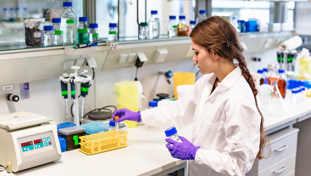 Woman researcher puts flask with sample into box